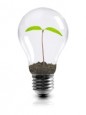 Creative Funding for Green Startups