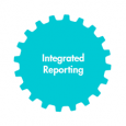 Integrated Reporting: Experiences from KPMG, PwC, Experts, Practitioners