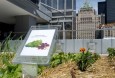 Telus Launch Green Rooftop with Community Garden