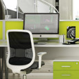 Greening Offices Without Adding to Landfill